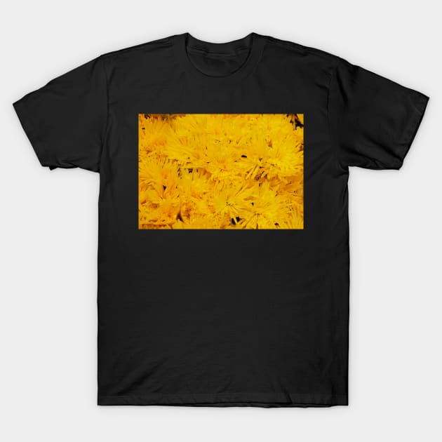 Yellow Chrysanthemums T-Shirt by jojobob